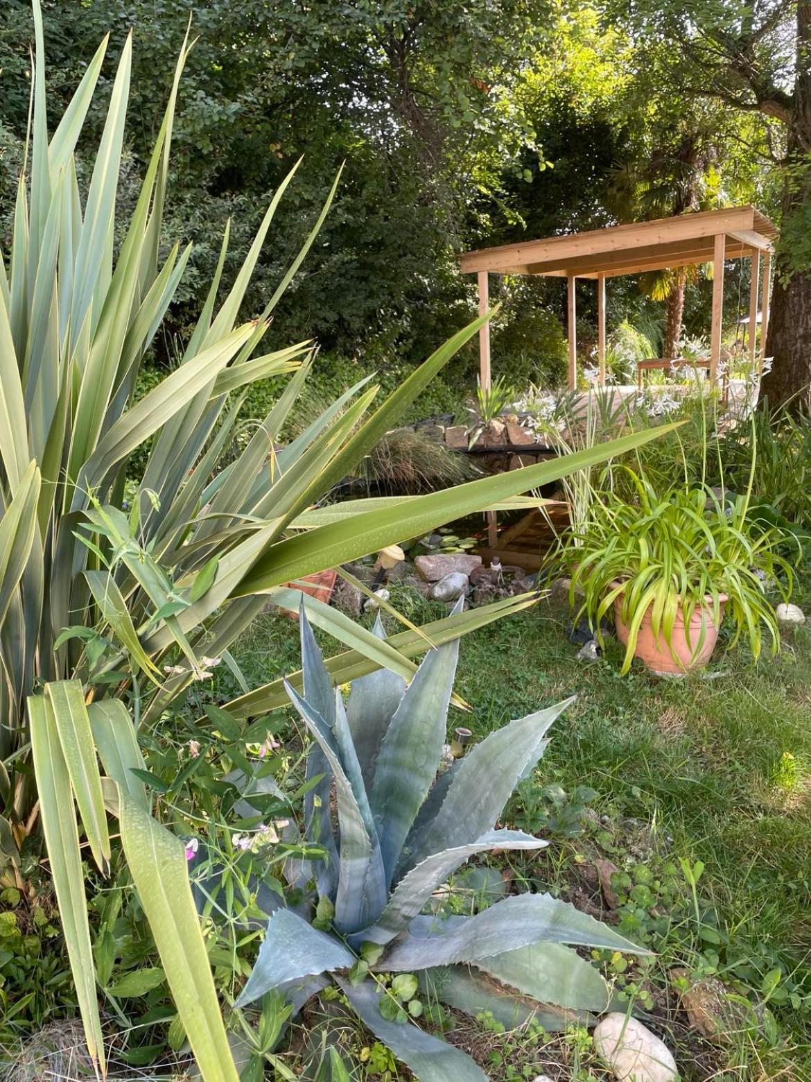 Les Agapanthes Vaux-en-Beaujolais Exterior foto