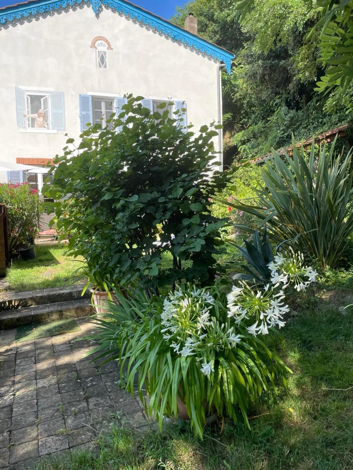 Les Agapanthes Vaux-en-Beaujolais Exterior foto