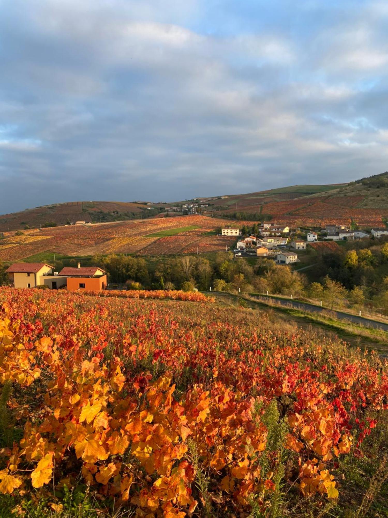 Les Agapanthes Vaux-en-Beaujolais Exterior foto