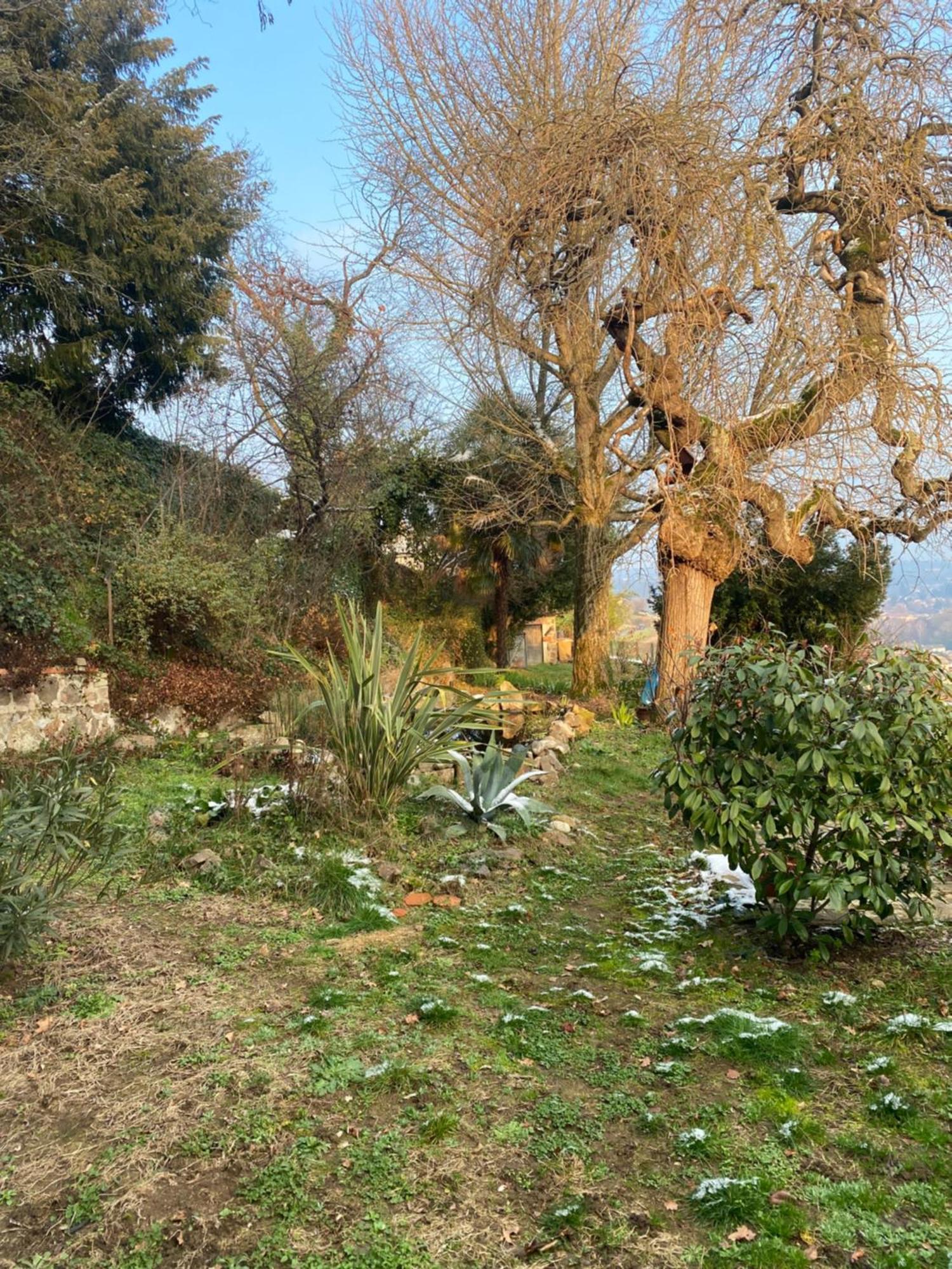 Les Agapanthes Vaux-en-Beaujolais Exterior foto